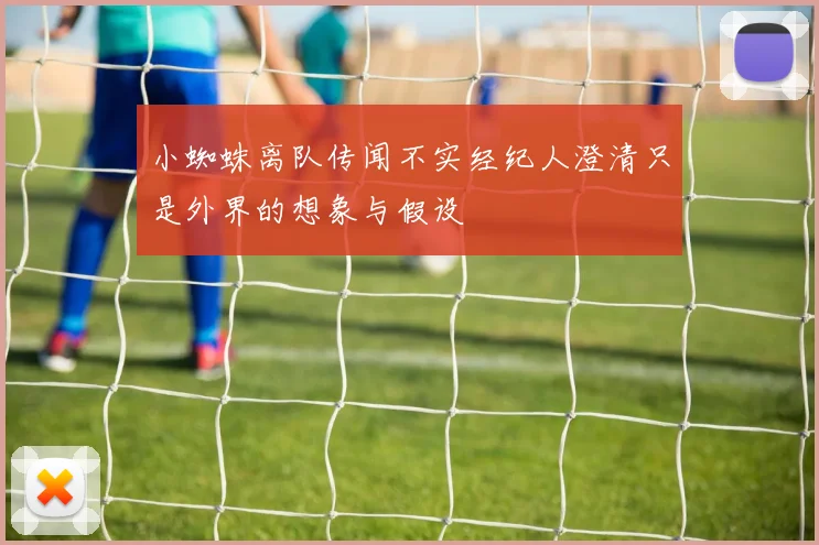 小蜘蛛离队传闻不实经纪人澄清只是外界的想象与假设