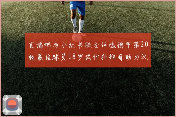 直播吧与小红书联合评选德甲第20轮最佳球员18岁武什科维奇助力汉堡逼平拜仁