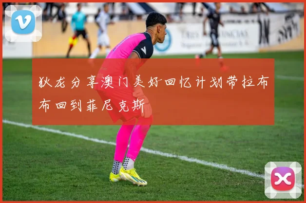 狄龙分享澳门美好回忆计划带拉布布回到菲尼克斯